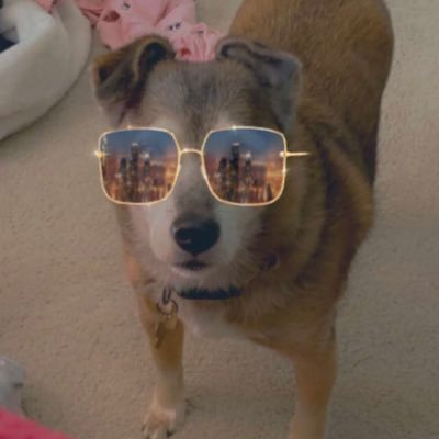 Profile Picture of Alex Ciccone (@alex_ciccone5) on Twitter