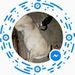 Profile Picture of Mark Greseth (@blazegreseth) on Pinterest