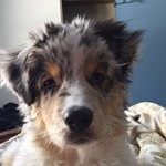 Profile Picture of Oliver Riggs (@oliver.riggs) on Instagram