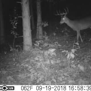 Profile Picture of Andrew Watrous (@andrewwatrous) on Instagram