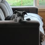 Profile Picture of Brad Sander (@brad.sander.739) on Facebook