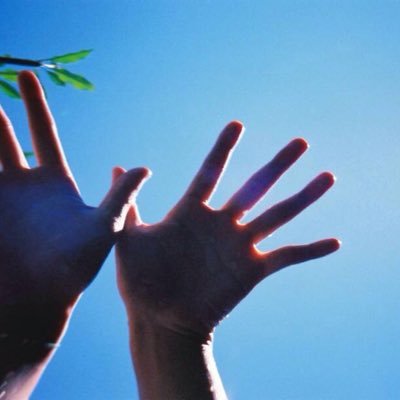 Profile Picture of Leilei (@IcyLiu1209) on Twitter