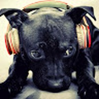 Profile Picture of Jess Perrett (@jess-perrett-5) on Quora