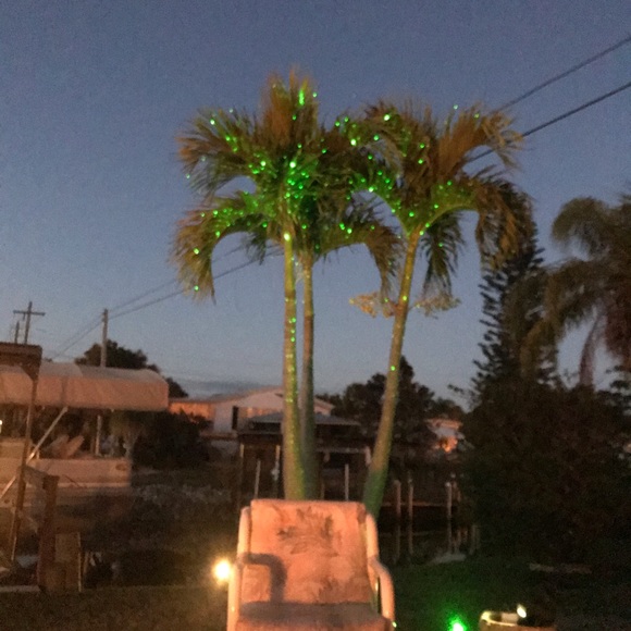 Profile Picture of Lesley Feighner (@lfeighner) on Poshmark