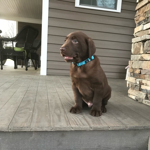 Profile Picture of Brian Bowman (@bbowman7043) on Poshmark