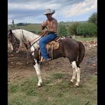 Profile Picture of Gabriel Gonsalves de Andrade (@so_bilzl) on Instagram