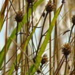 Profile Picture of Sprague (@spraguebrad) on Instagram