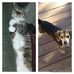 Profile Picture of Nancy Paynter (@Nancy-Paynter) on Facebook