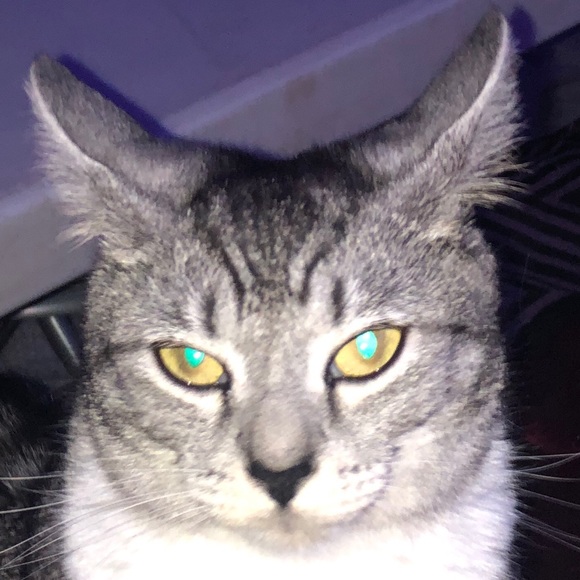 Profile Picture of Lisa Minetree (@lintree320) on Poshmark