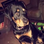 John Zigman - Facebook Profile Picture of John Zigman (@john.zigman.52) on Facebook