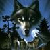 Profile Picture of Max Chacon (@max.chacon.5817) on Facebook
