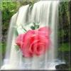 Profile Picture of joycehead6 (@@joycehead6) on Tiktok