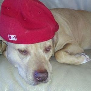 Profile Picture of Phil Lo (@phil_2121) on Myspace