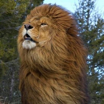 Profile Picture of Joe Alcalá (@joealkala) on Twitter