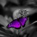 Profile Picture of Juanita Bryson (@juanita.bryson.3) on Facebook