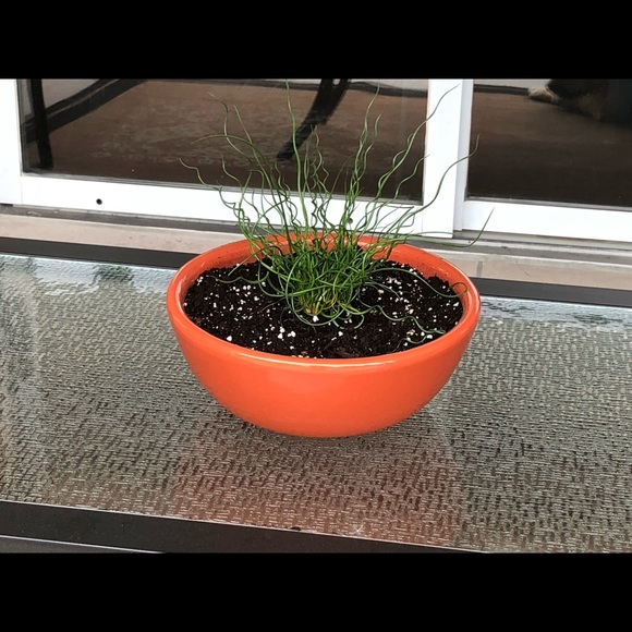 Profile Picture of Marlo Masotti (@mdex7) on Poshmark