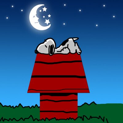 Jeff Brier - Twitter Profile Picture of Jeff Brier (@Jeff_Brier75) on Twitter