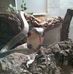 Profile Picture of Eric Dieckerhoff (@timon.muller.1447) on Facebook