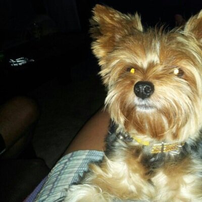 Profile Picture of Jose Manuel Acebal (@61Jomache) on Twitter