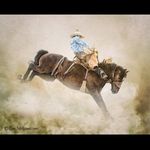 Profile Picture of Andrew Leeper (@aleeper86) on Instagram