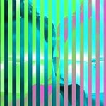 Profile Picture of Daily Bumps Fan Page (@bryan.missy.finn.ollie) on Instagram