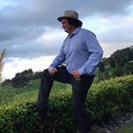 Profile Picture of Brad Hawkes (@halfcut_hawkes) on Instagram