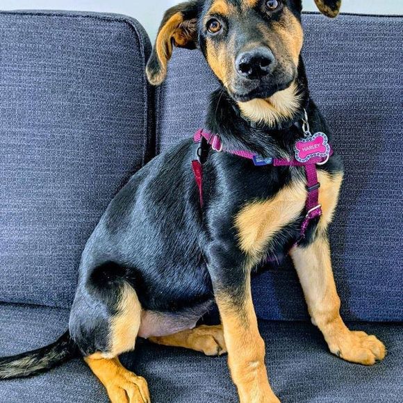 Profile Picture of Echo Shumaker-pruitt (@echodelight) on Poshmark