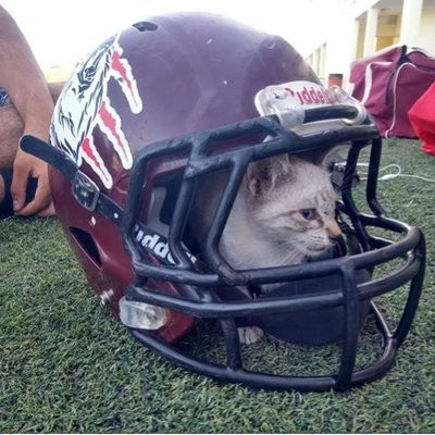 Profile Picture of Alan Verdugo (@verdugo0302) on Twitter