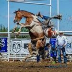 Profile Picture of Jim Dodd (@jim.dodd.73) on Instagram