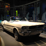 Profile Picture of Michael Susman (@msusscle77) on Youtube