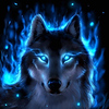 Profile Picture of Forrest Hand (@cosmic_wolf) on Flickr