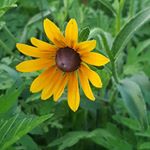 Profile Picture of Brandi Blevins (@brandi.blevins.98) on Instagram