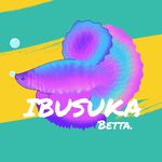 Profile Picture of IBUSUKA BETTA (@ibusuka.betta) on Instagram