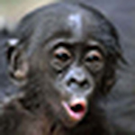 Profile Picture of Quillo-picha (@quillo-picha) on Flickr
