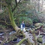 Profile Picture of Sean Hehir (@sean_hehir) on Instagram