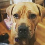 Profile Picture of Ruby Armstrong (@__ruby_armstrong__) on Instagram