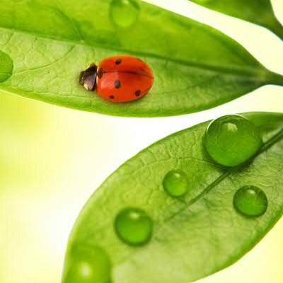 Profile Picture of Rosa Nova (@rosanova59) on Twitter