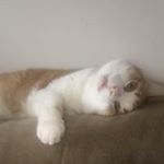 Profile Picture of Richard Grob (@hiei08010) on Instagram