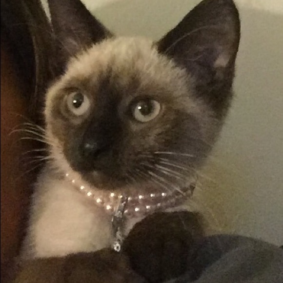 Profile Picture of Hilda Paul (@jade0419) on Poshmark