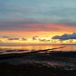 Sudhir Tandon - Instagram Profile Picture of Sudhir Tandon (@sudsy.bear) on Instagram