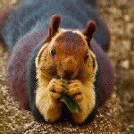 Profile Picture of monicaandrews (@monicaandrews) on Instagram