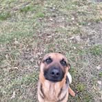 Profile Picture of Thomas Abla (@Thomas-Abla) on Facebook