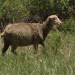 Profile Picture of Bryant Ostendorf (@bryohazard0203) on Instagram