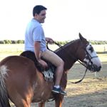 Profile Picture of Pablo Aliaga (@mellialiaga) on Instagram