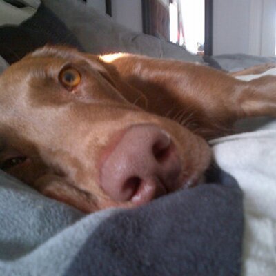 Profile Picture of Matt Deroo (@Mderoo1) on Twitter