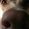 Profile Picture of Jerrilynn Dunn Bayless (@jerrilynn.bayless) on Facebook