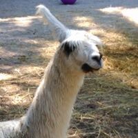 Profile Picture of Lee Asquith (@lee-asquith) on Quora