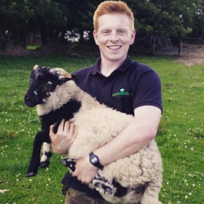 Profile Picture of Joe Leddy (@joelogist) on Twitter