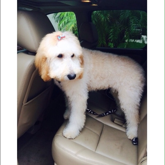 Profile Picture of Hannah Shulby (@hshulby_) on Poshmark