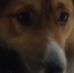 Profile Picture of Phillip Daugherty (@phillip.daugherty.16718) on Facebook